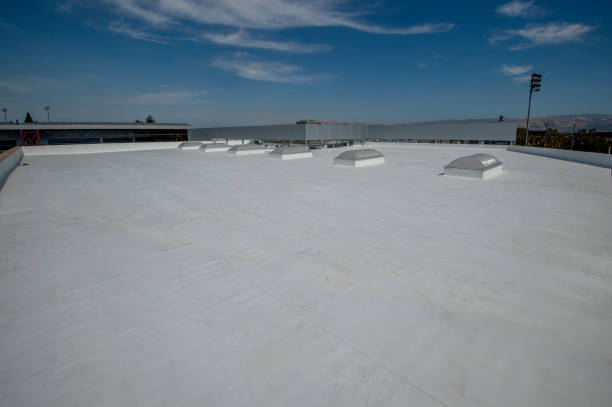 Best Asphalt Shingle Roofing  in Roaming Shores, OH