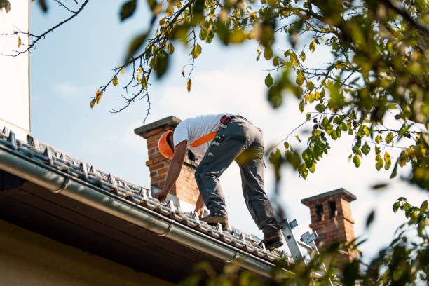 Best Roof Moss and Algae Removal  in Roaming Shores, OH