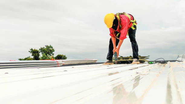 Best Roof Ventilation Installation  in Roaming Shores, OH